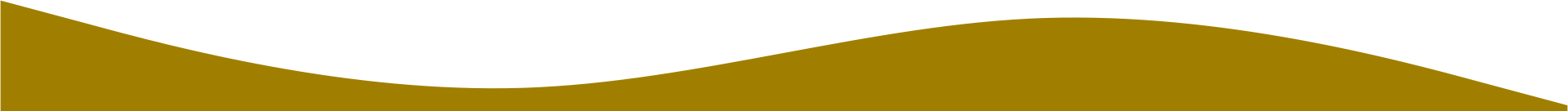 Decorative Wave Image