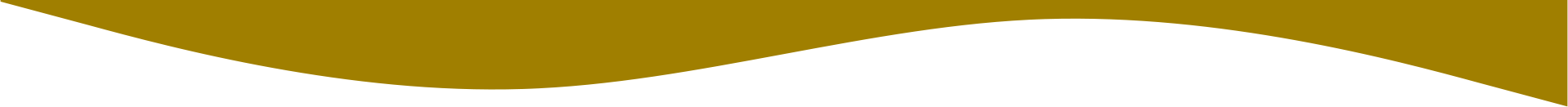 Decorative Wave Image